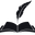 Nopolar logo
